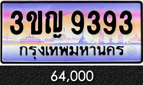 ทะเบียน 3ขญ 9393