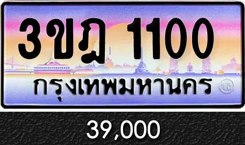 ทะเบียน 3ขฎ 1100