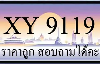 ขายทะเบียน 9119