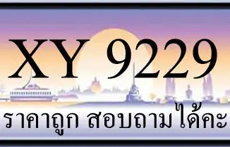 ขายทะเบียน 9229