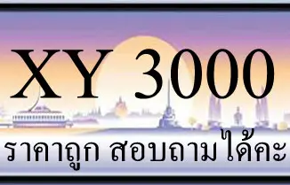 ขายทะเบียนรถ 3000 ราคาถูก