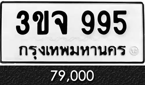 ขายทะเบียนรถ 3ขจ 995