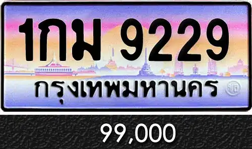 Vtabien ศูนย์รวม ขายทะเบียนรถ ออนไลน์ เลขสวย มงคล 120 ทะเบีนรถ 1กม 9229